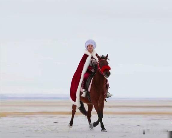 可惜了，贺娇龙，谁能想到，这匹扬蹄驰骋的枣红马竟然是罪魁祸首？其实，如果回溯一下