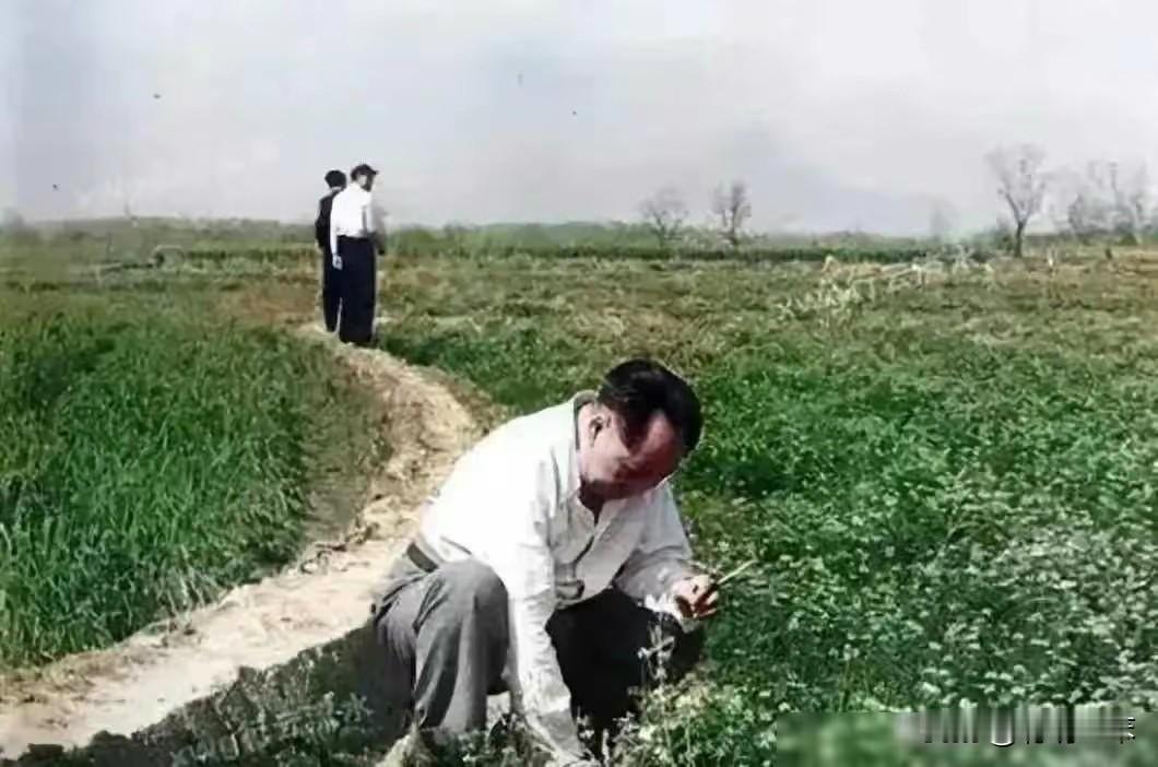 两个凡是火遍全网，凡是拥护和尊敬毛主席的都是好人，凡是反对诋毁毛主席的都是坏人。