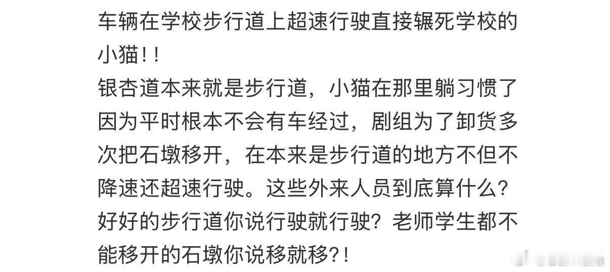 红舞鞋致歉声明道歉毫无诚意！！首先它不是流浪猫，它是大家一起养大的猫咪，其次，他
