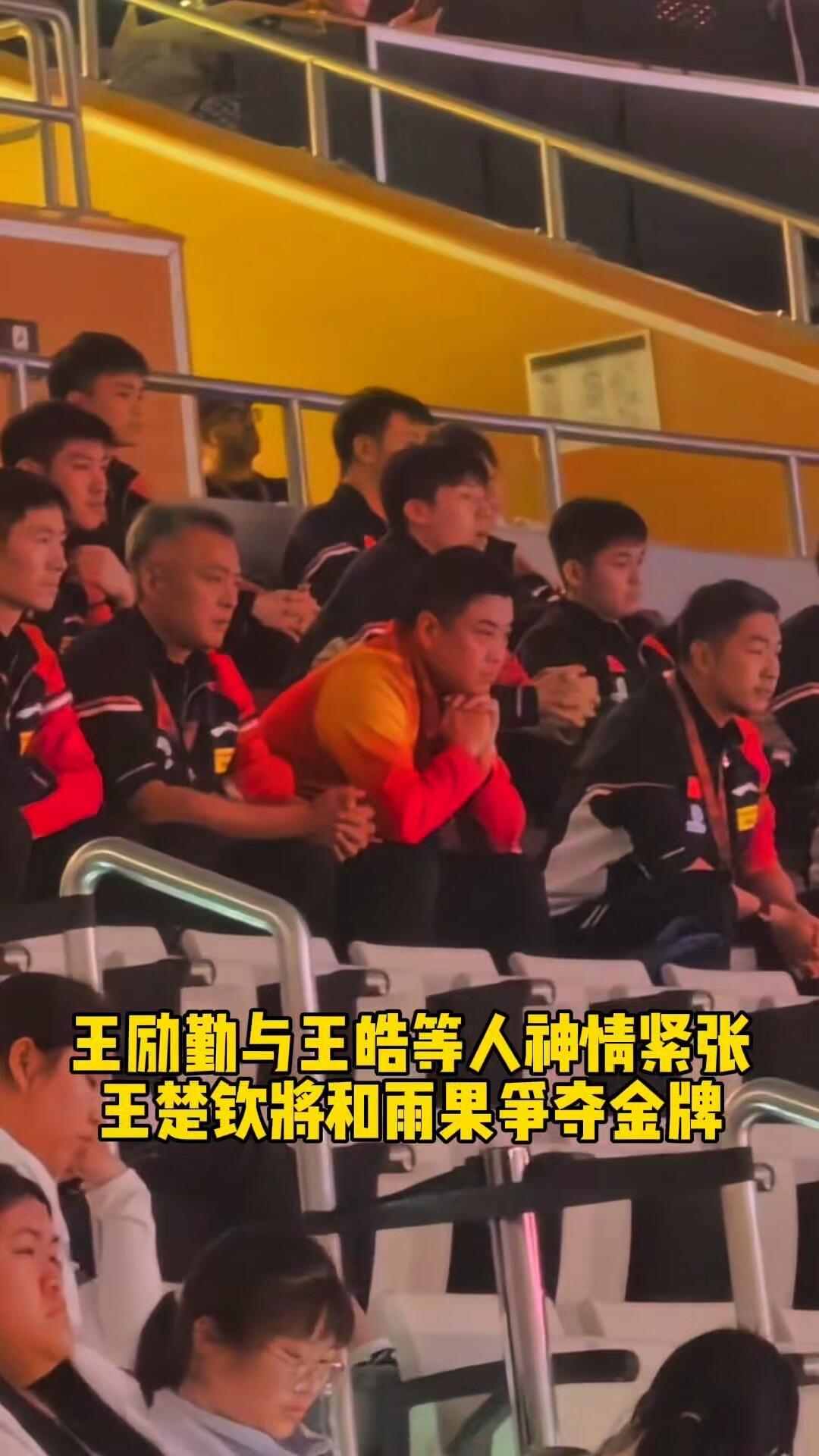 王楚钦可以的，相信他就好，混双三连冠，他完成的太好了，圆满！大头和雨果，雨果的