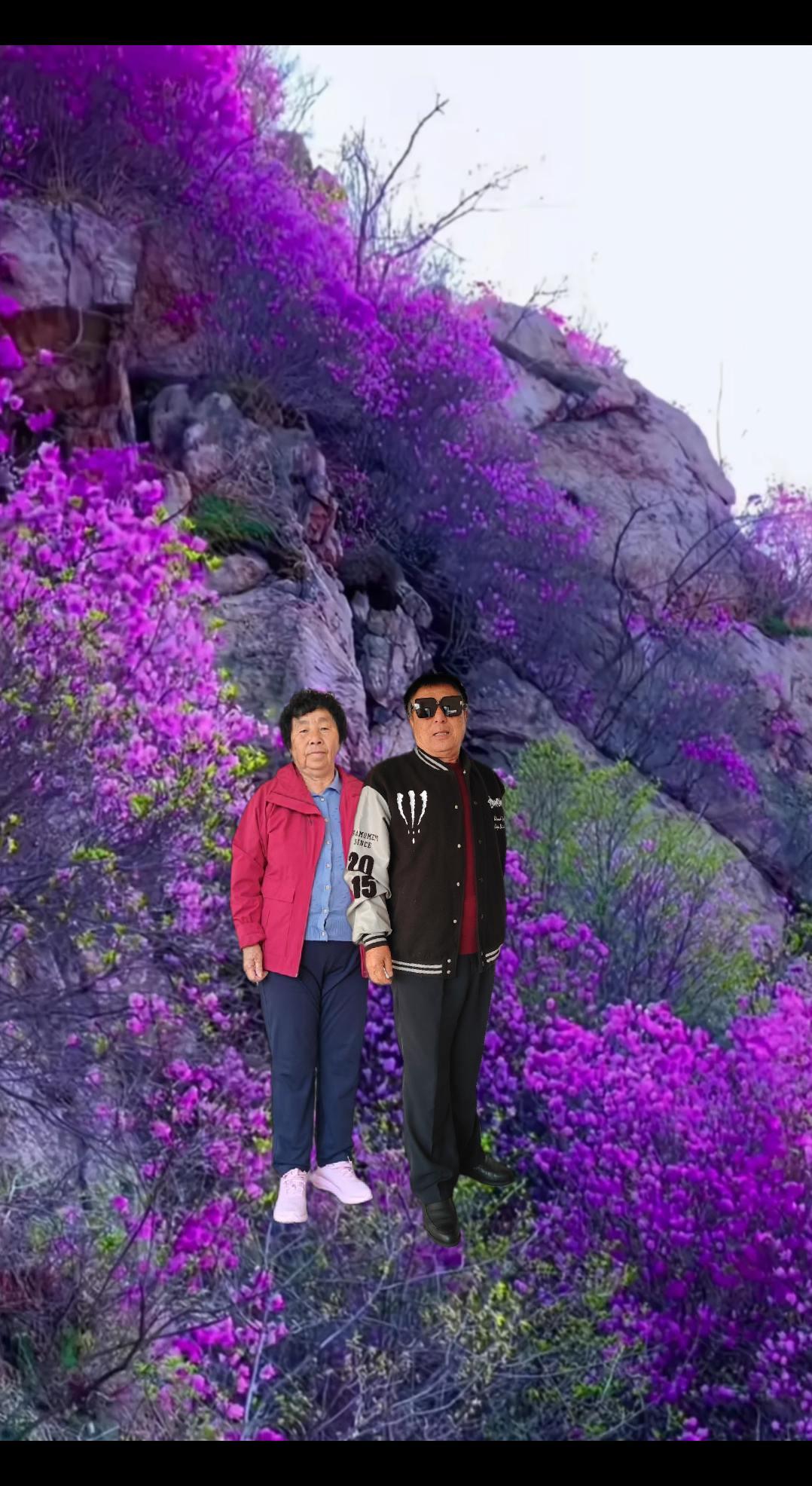 风吹不散你的容颜。悬崖边的杜鹃花拍到了春日限定花海照片山花烂漫正当时紫色山