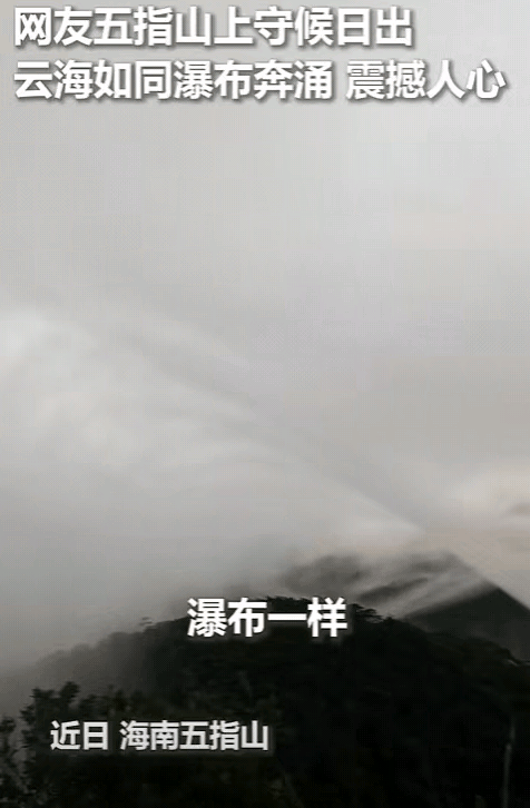 万万没想到！女生凌晨爬海南五指山，准备守候日出，结果，当日出出来那一刻，山顶山