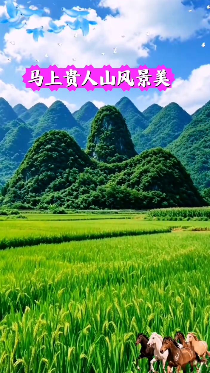 马上贵人山风景美。修撰。
