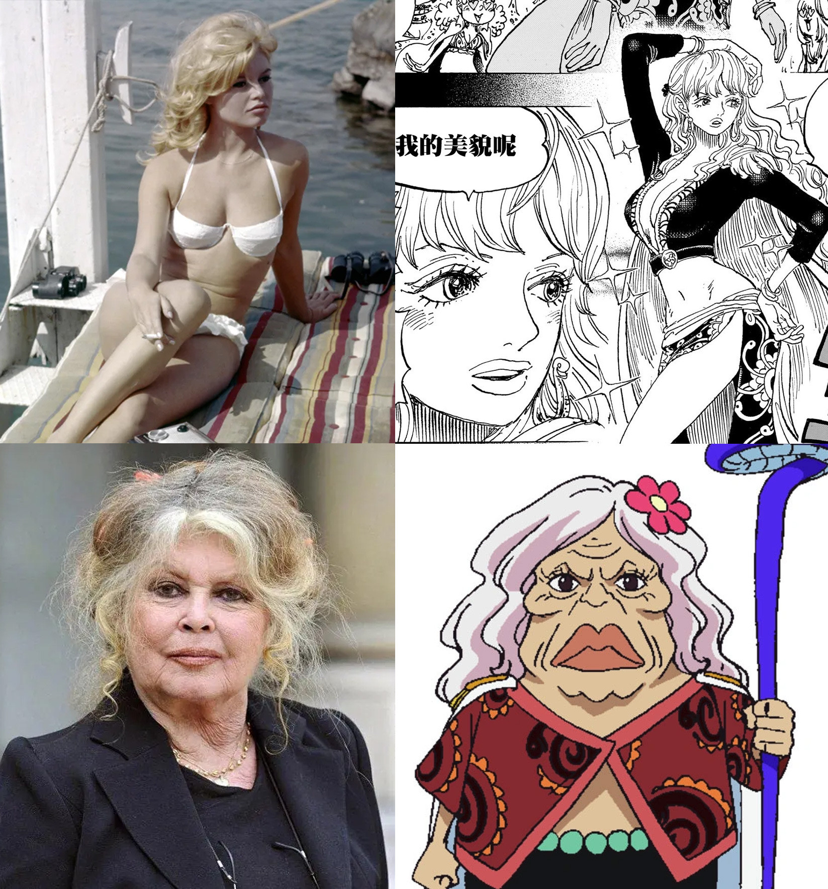 纽婆婆原型是碧姬·芭铎！海贼王海贼王