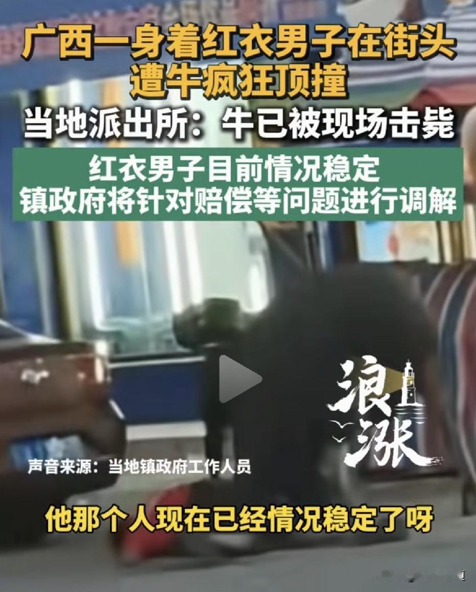 红衣“惹的祸”：一头牛冲上街头，把一个红衣男子顶翻在地，警方当场击毙。牛主人还没