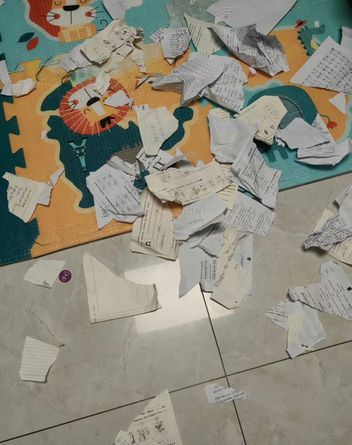 寒假作业摆烂被我撕掉了！