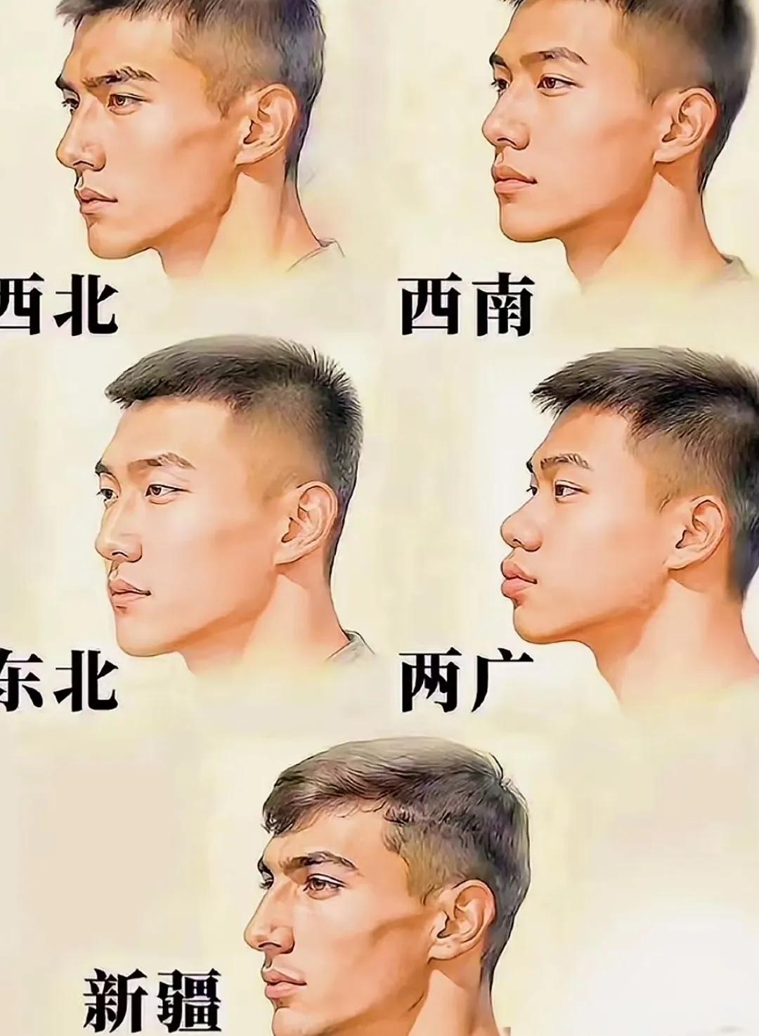 地域长相太明显了！大家看看这个图，说的对不对怎么没有河北，河南，安徽，江