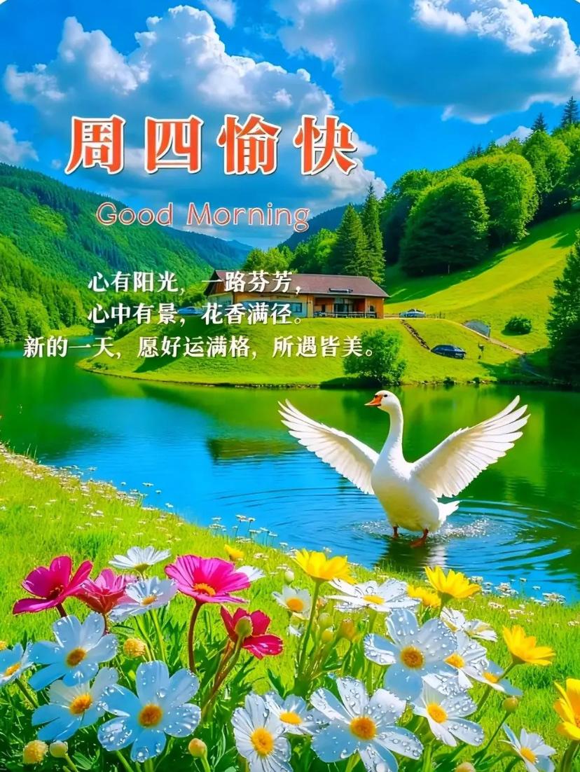 🌺☘️5./28.清风伴晨光.守本心从容🌺🌻晓雾清风舒爽，悠然绵长，旭