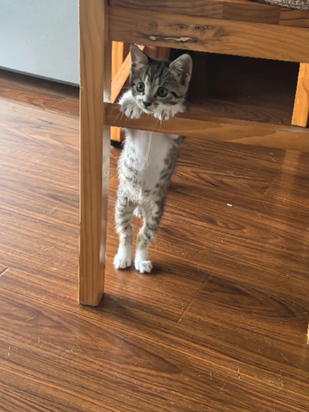 长大了面相怎么也变啦