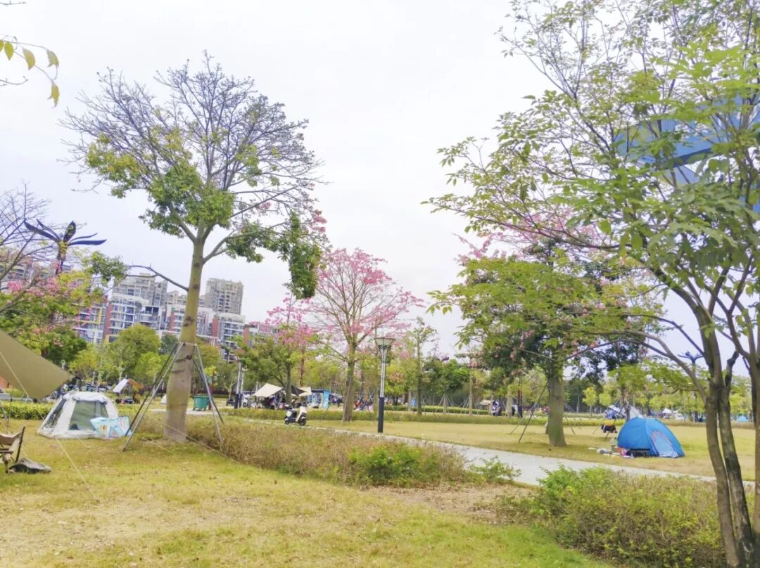 佛山免费露营公园名单