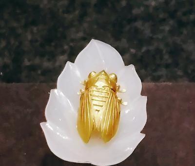1954年，江苏吴县发现一个合葬墓，里面有1男4女，但墓穴却没有任何陪葬品，只是