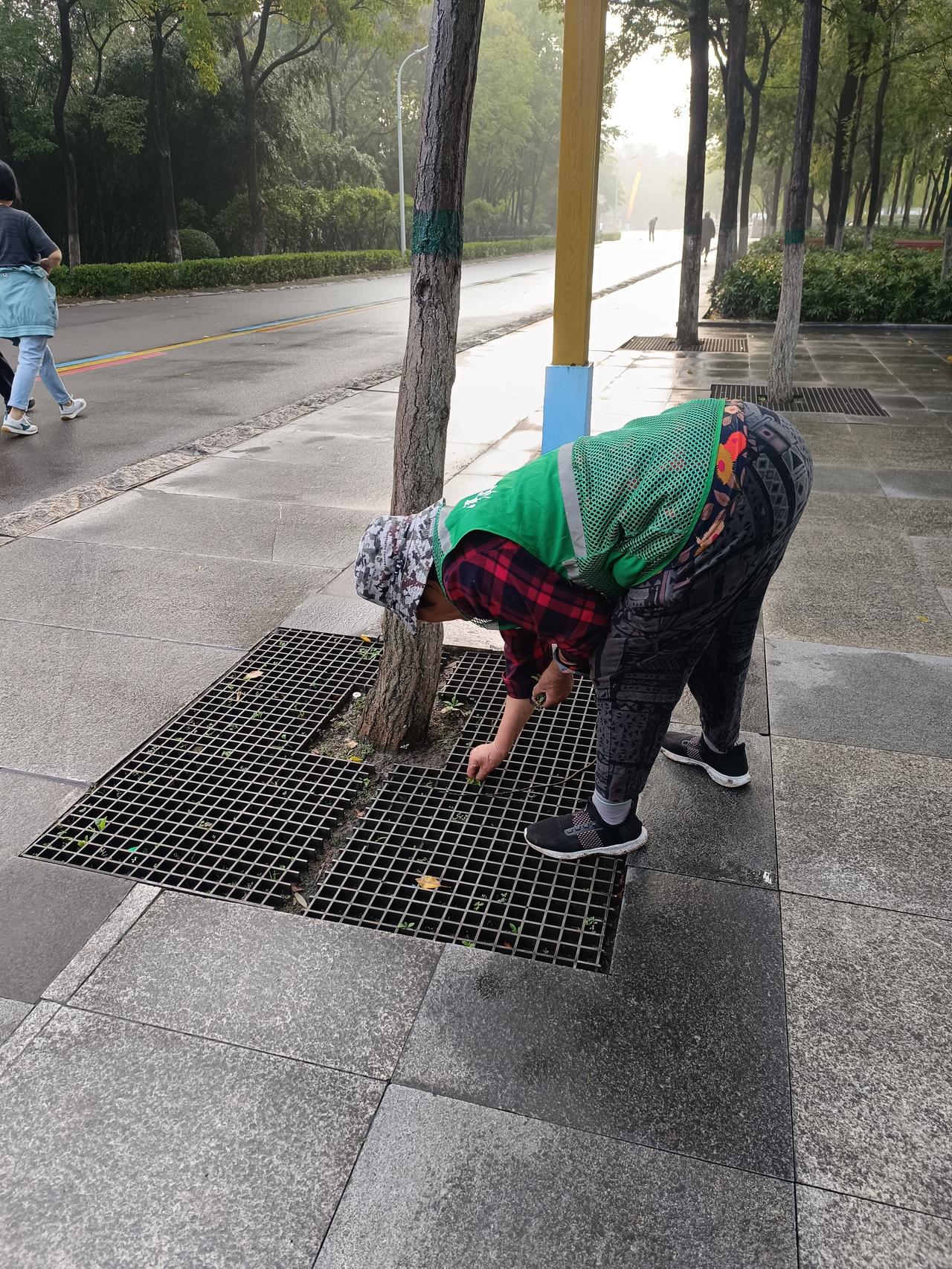 今天在水库边散步，看到一个大妈都70多岁了，还在干保洁，一月800多元的工资，她