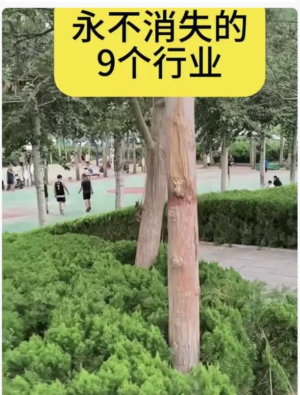 永不消失的9大刚需行业，个个离不开！1.农业：生存根本，没农业就没粮食蔬