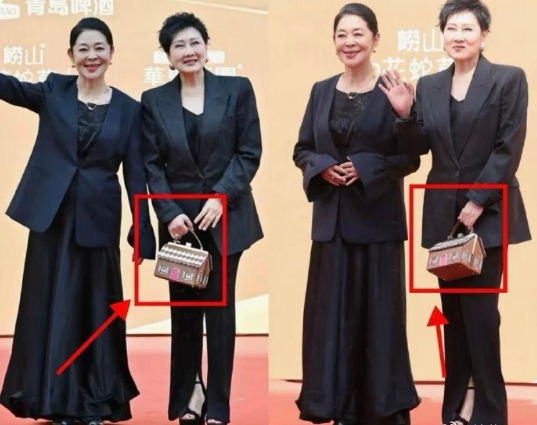 张凯丽华表奖颁奖礼上的包造型引争议，似纸房子，时尚独特却离大众审美远，明星造型该