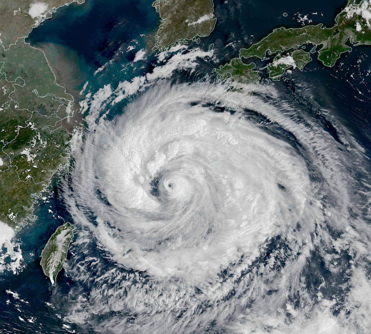 台风台风白海豚台风白海豚vs台风巴威特别篇——对比白海豚与巴威：是“狼又来了”