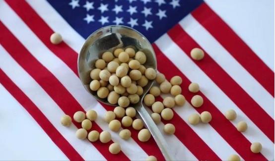 美国大豆为什么非得卖给中国？其实，从美国的角度来看，三年不向中国出口大豆，扩大国