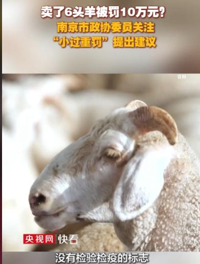 江苏盐城，一个卖羊肉的商贩，得知老人患了癌，急需卖掉家中的6只羊，拿钱治病。这个