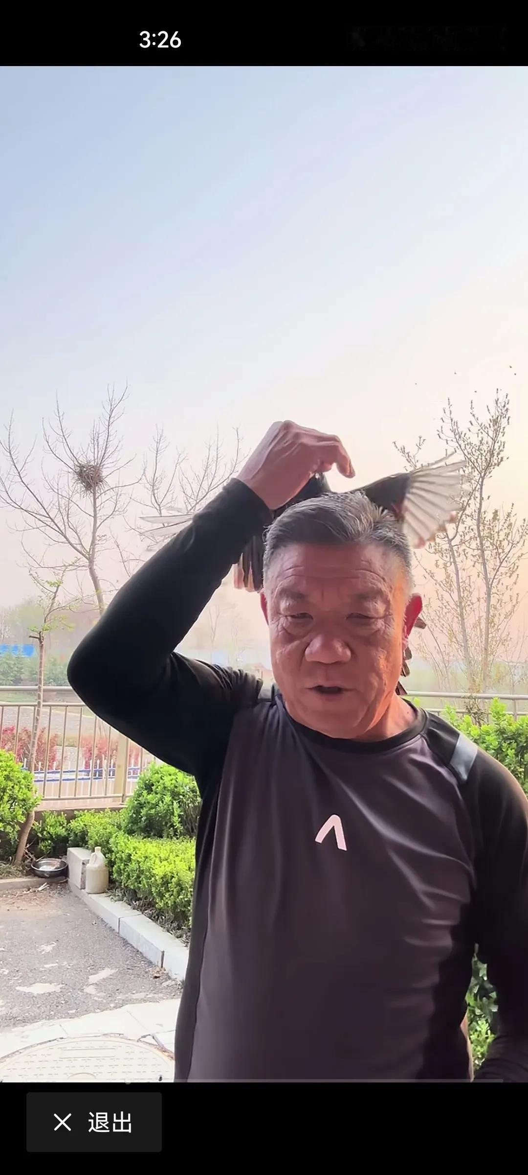 看看这位老大爷的晚年生活多么惬意。养的喜鹊，说什么都能听懂。老大爷让喜鹊上他头上