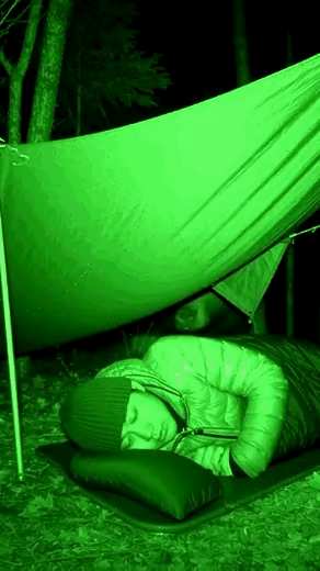 男人在睡觉，一只棕熊突然过来看了看镜头，可能他也想露个脸。