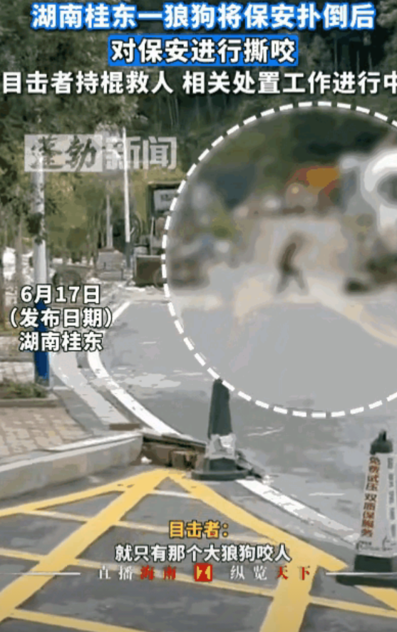 “当场击毙！”湖南，男子出去倒垃圾时，突然冲出一条大狗，将他扑倒在地撕咬，男子虽