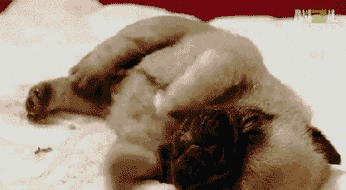 医生提醒: 睡觉时身体会猛然抖一下, 有可能是一种病!