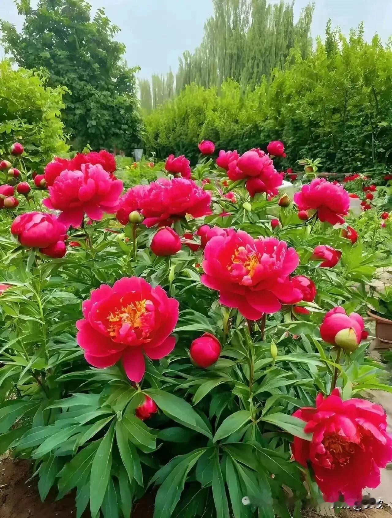 上联:雨打芭蕉琴弦乱下联:燕衔春色画屏开横批:画里春秋