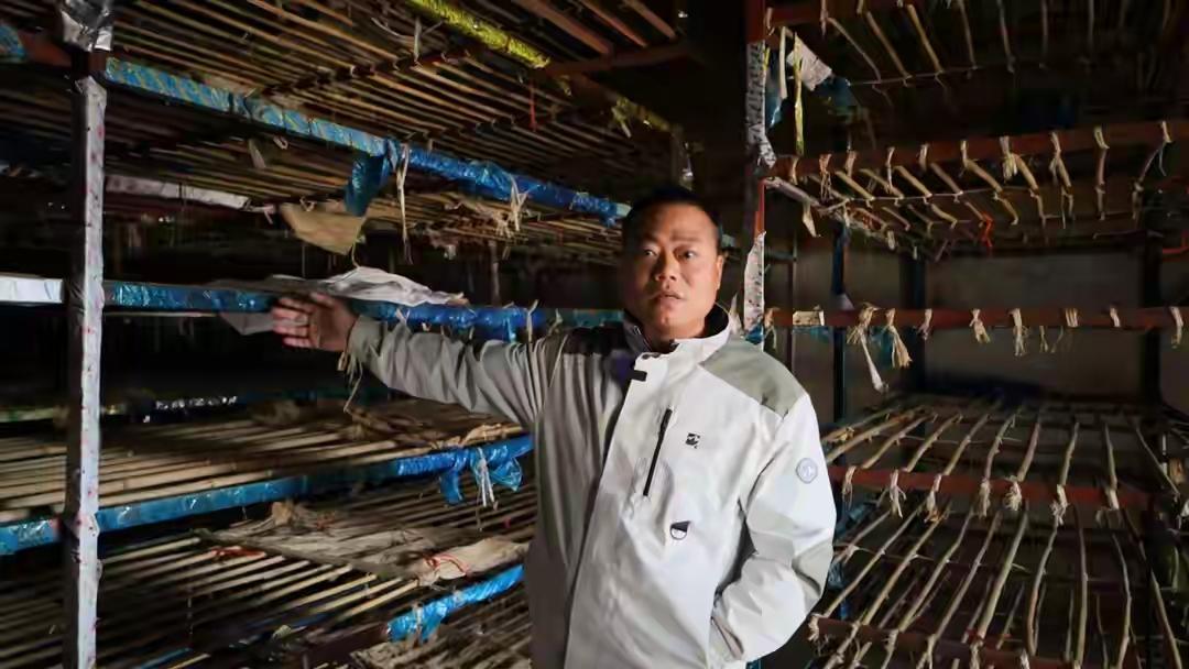 山东兰陵600吨蒜薹离奇失踪背后：千万货物被私卖，冷库老板跑路，客商血本无归的真