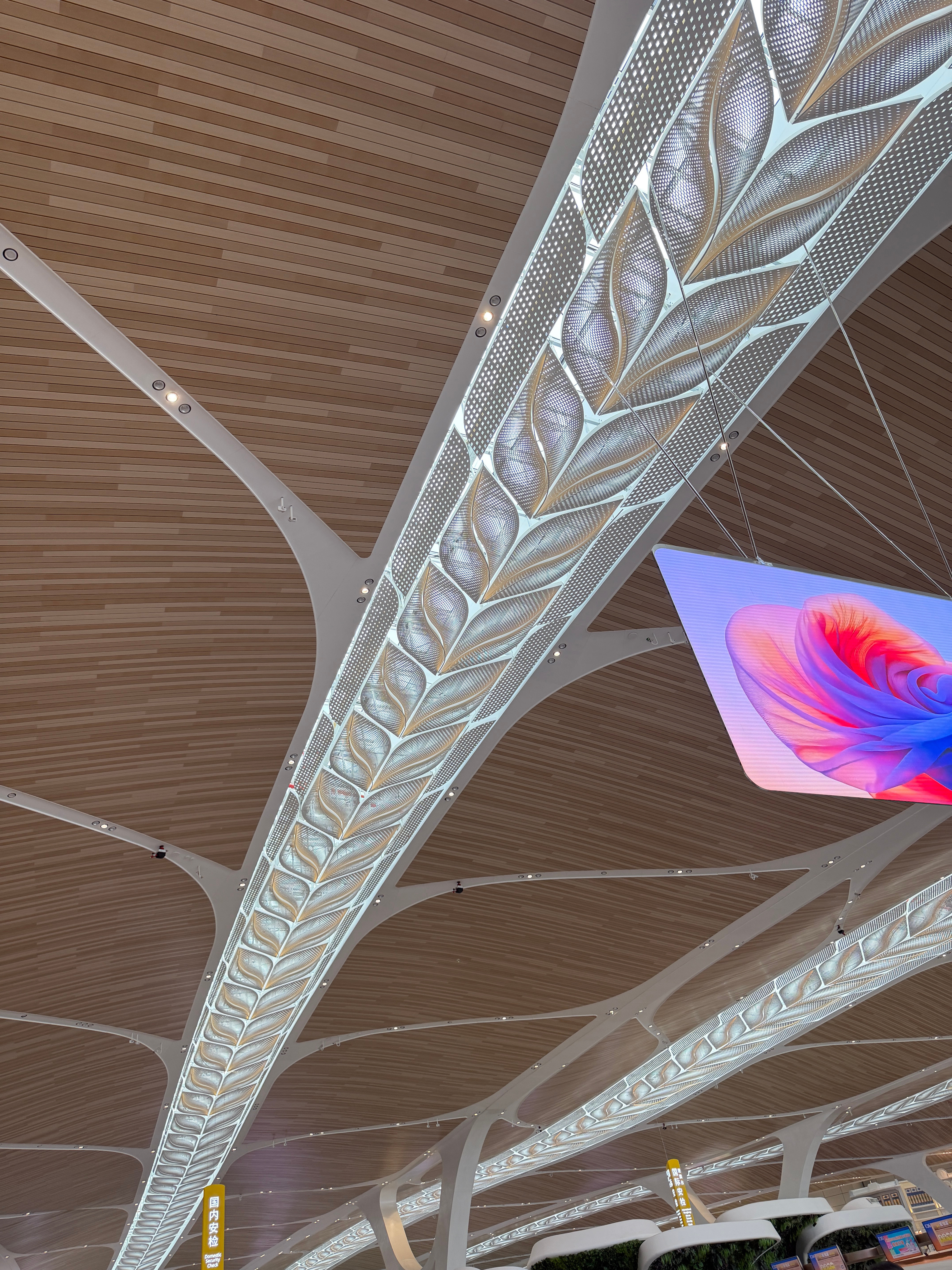 广州白云机场的T3航站楼我第一次来好新设计的好棒！每个角落都是贯穿的花瓣元素、