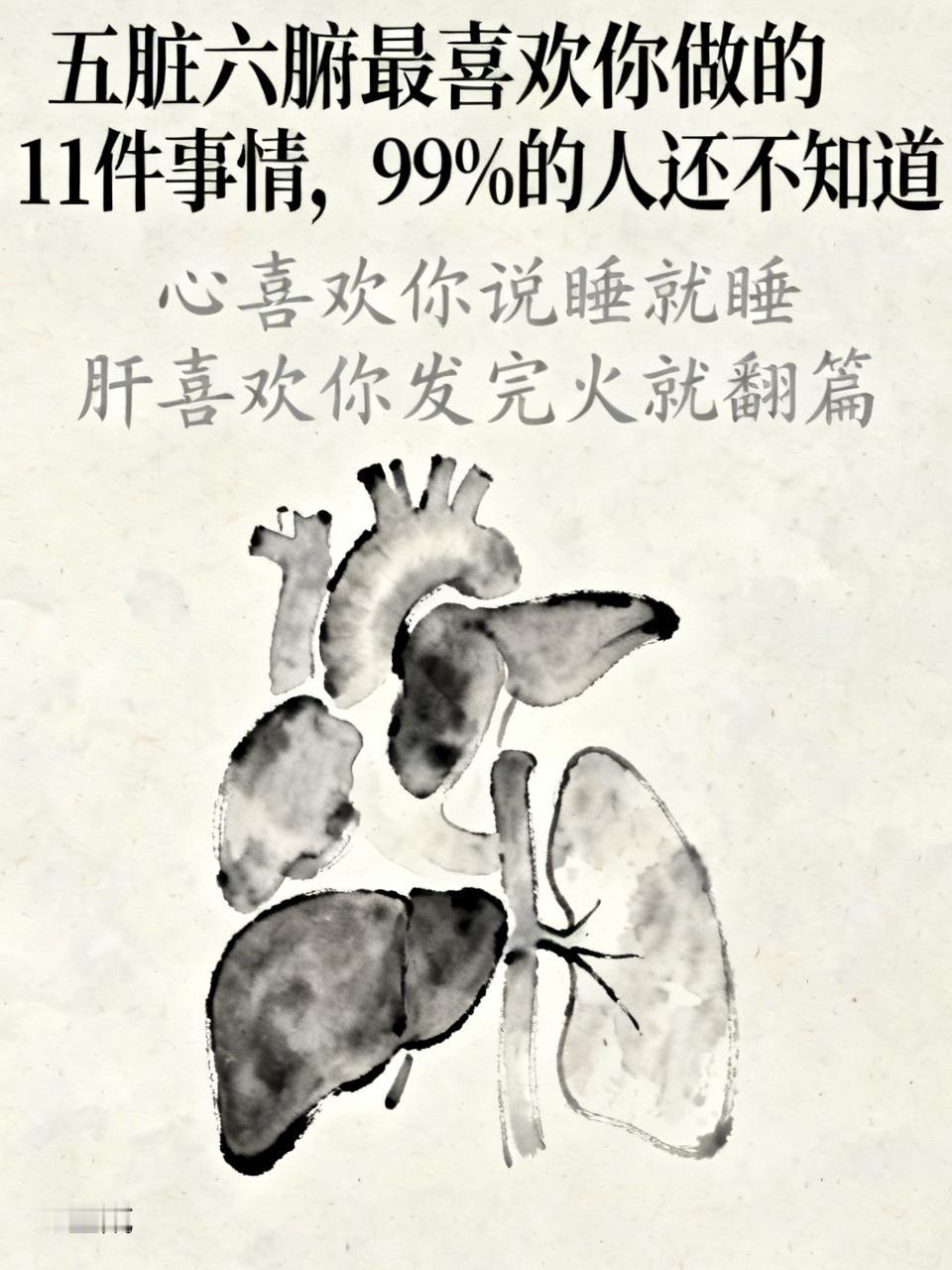 五脏六腑最喜欢你做的11件事情，99%的人还不知道1.心喜欢你说睡就睡到