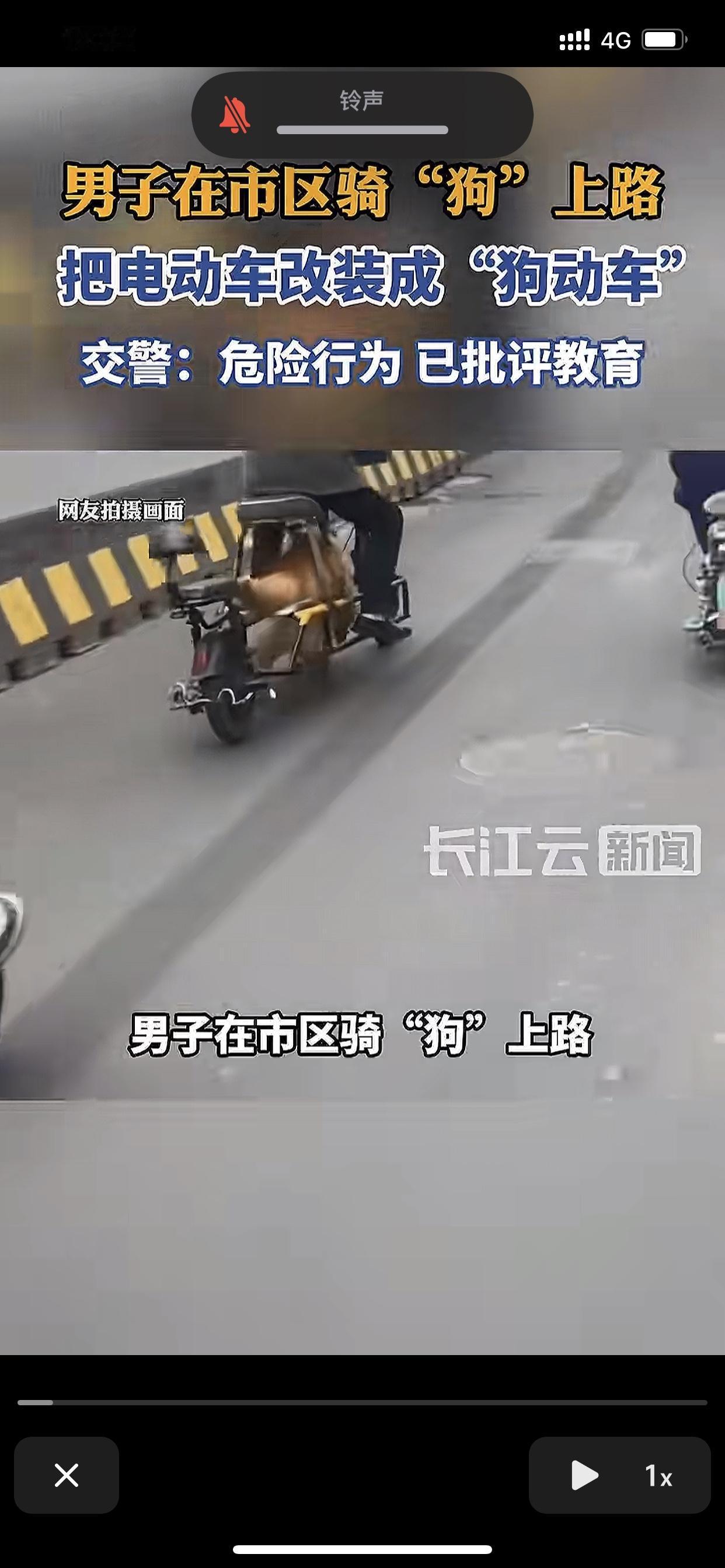 一老爷子把电动车给“魔改”了，把电池仓掏空，塞进去一只大金毛，狗子在里面拼