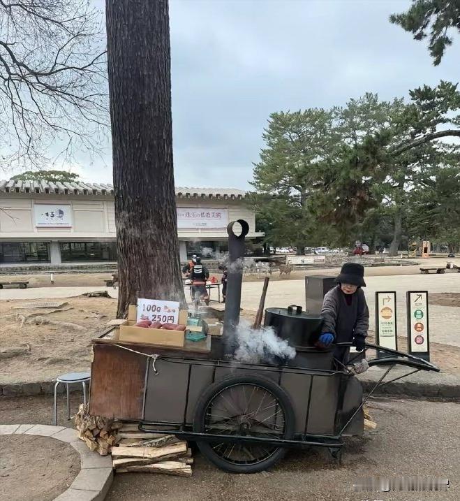 日本奈良一个七十多岁的老奶奶在街头摆摊烤地瓜卖。老太太的子女都没怎么着，国内一些