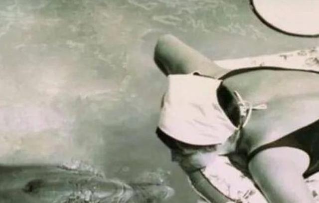 1965年，美国一女子在实验时，竟然和公海豚发生了感情，没多久实验便被迫终止，公