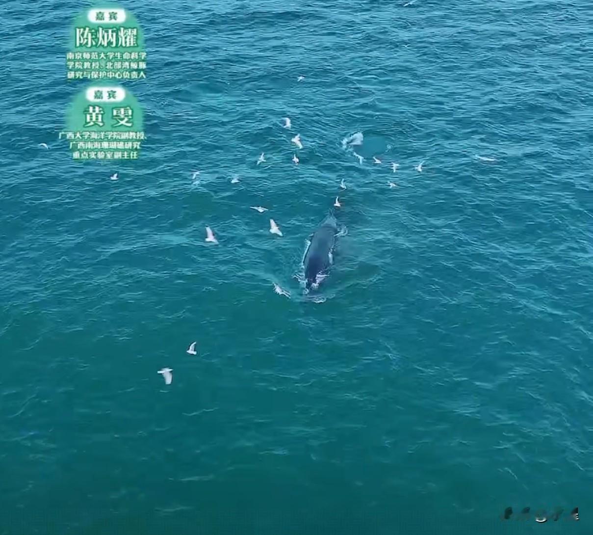 夸爆与辉同行的摄影天团感觉透过镜头读了篇散文诗这审美真的绝了能很清晰的感受