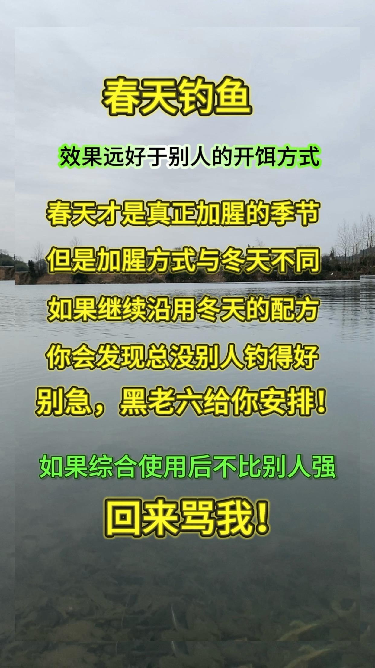 春天钓鱼，远强于别人的开饵方式。春天钓鱼开饵方式