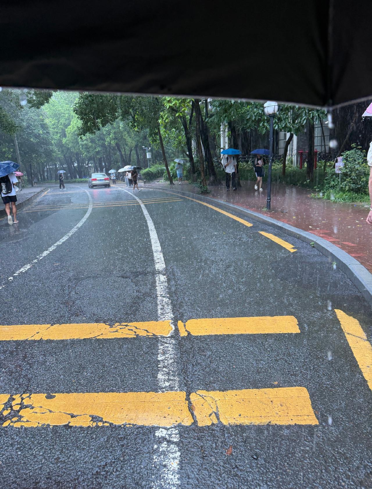 6.18📝我不知道这个死深圳想干嘛一直在下雨大暴雨…滚😡中饭19.2