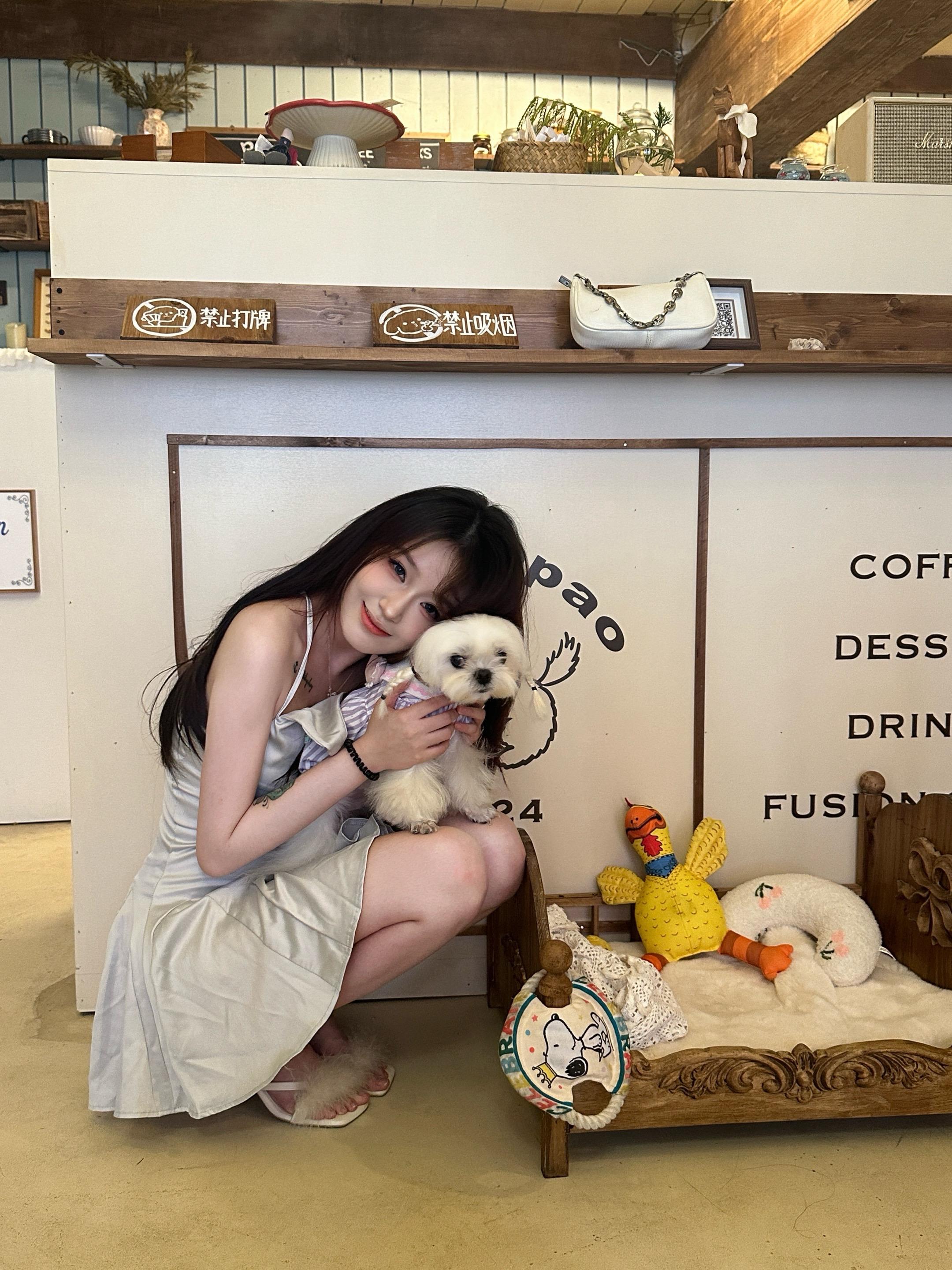 是狗狗啊。