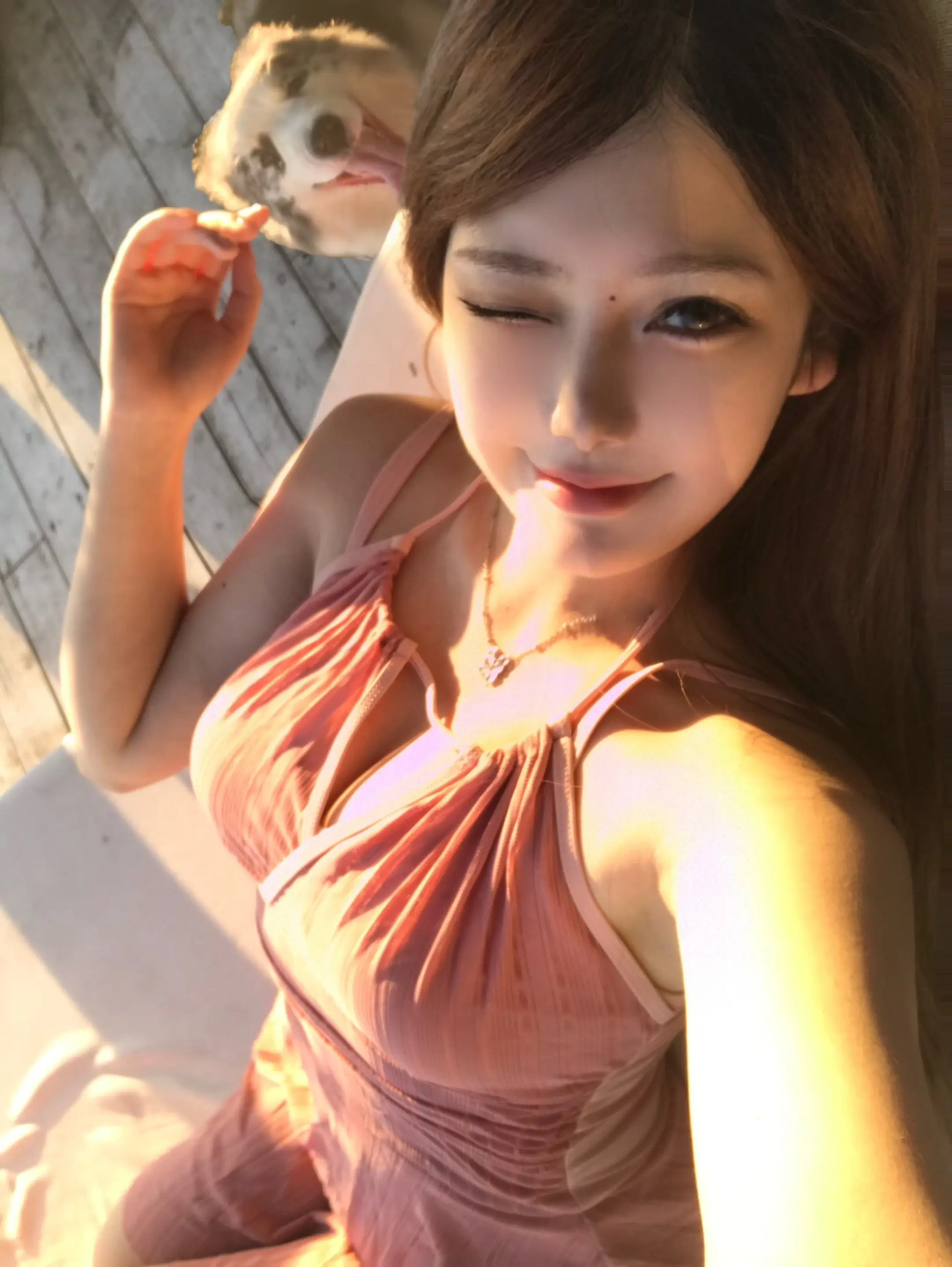 杭州泳池酒吧 还可以带狗狗玩