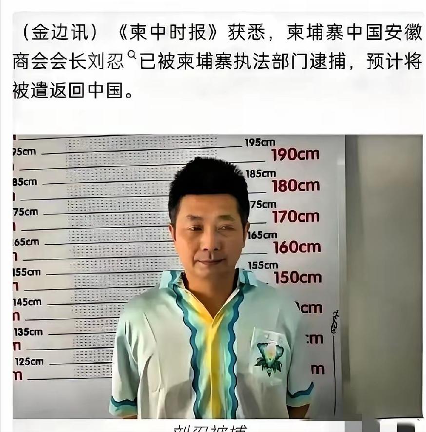 🐰最可怕的内鬼曝光！柬埔寨电诈园区大佬，竟是我们信任的商会会长！柬埔寨