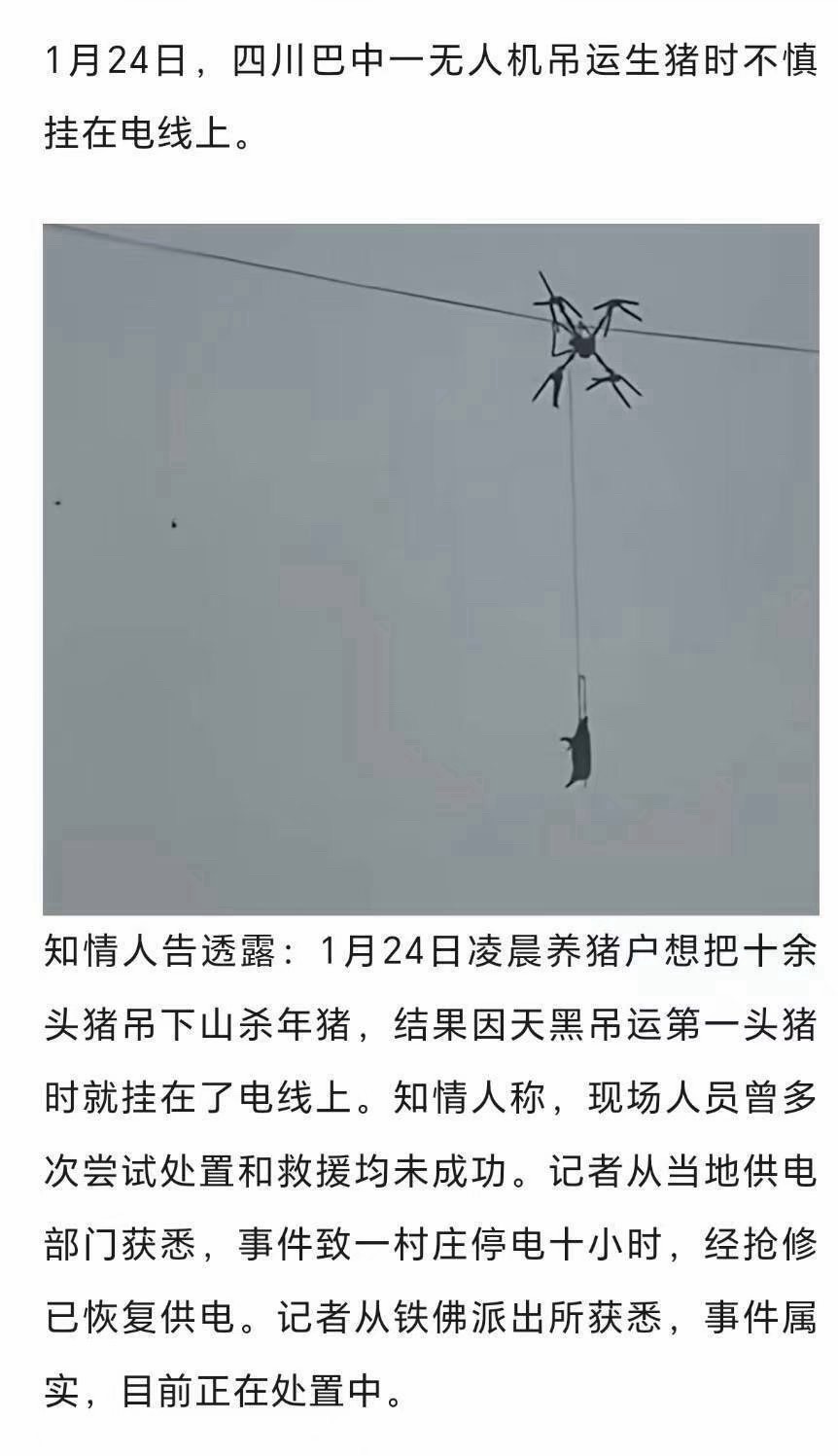 意林故事成真《文明的国家》