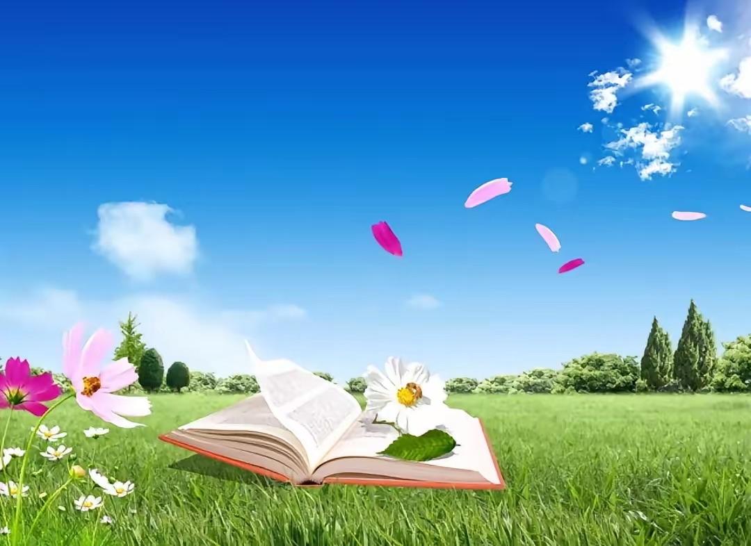 教师林某被学生上课用水枪喷，林老师的处理方式极端错误，那么正确的处理方式应该是什