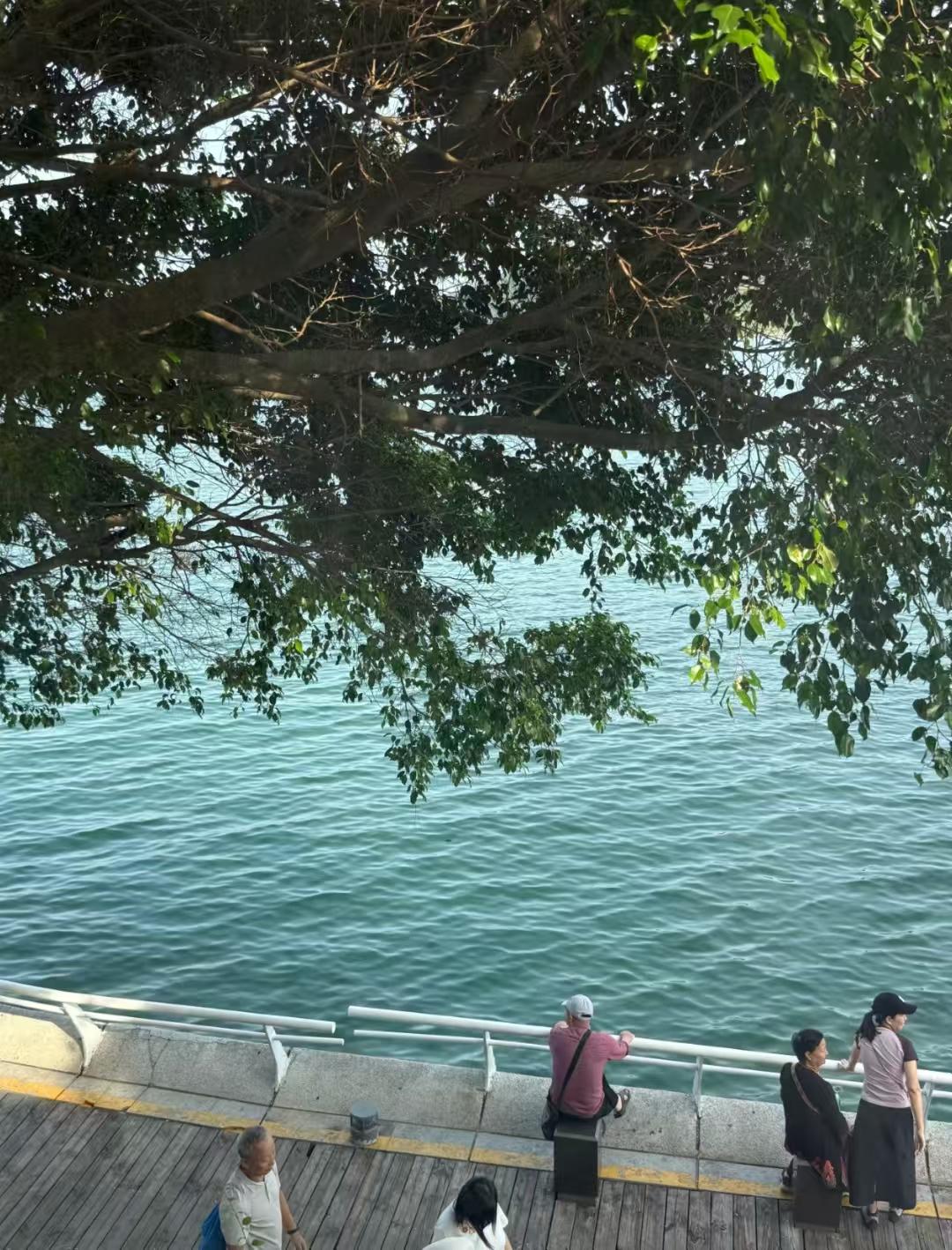 人要长寿，一定要舍得吃，舍得花：1.吃肉，别光挑瘦的。2.买菜，别只捡