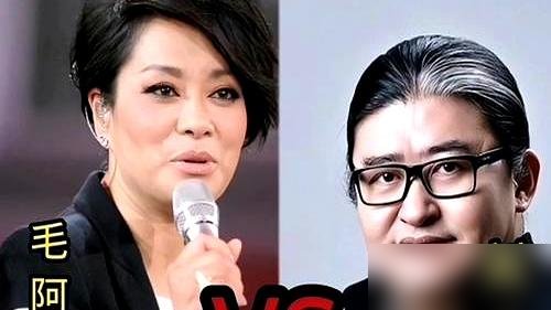2010年最后一天，刘欢人在美国，听说毛阿敏要开人生第一场个唱，扭头就订了机票往回飞。下了飞机没化妆