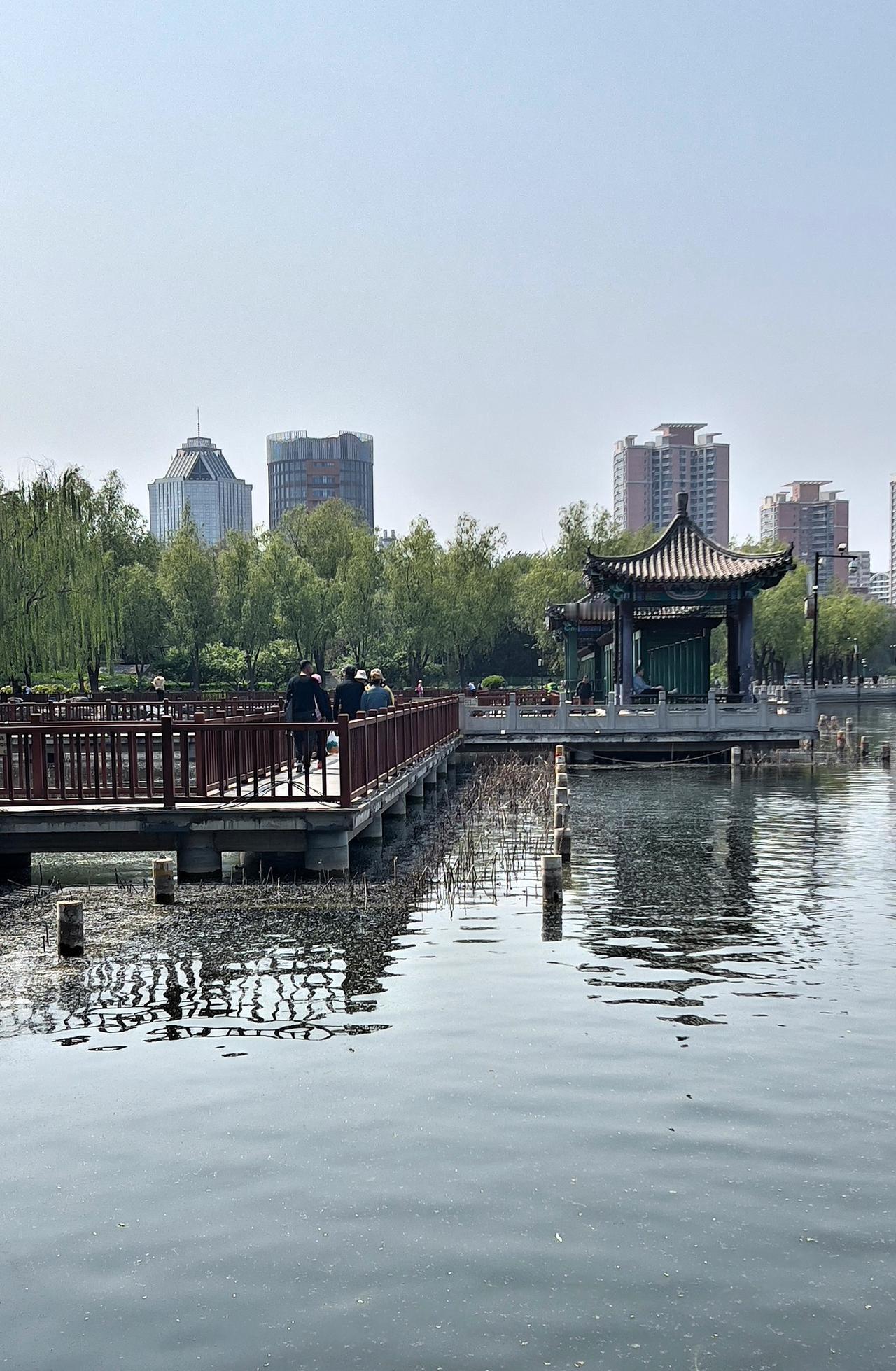 春日景色随手拍莲花池公园春日风光：湖光潋滟映楼阁，碧波荡漾入画来。春日生活打卡季