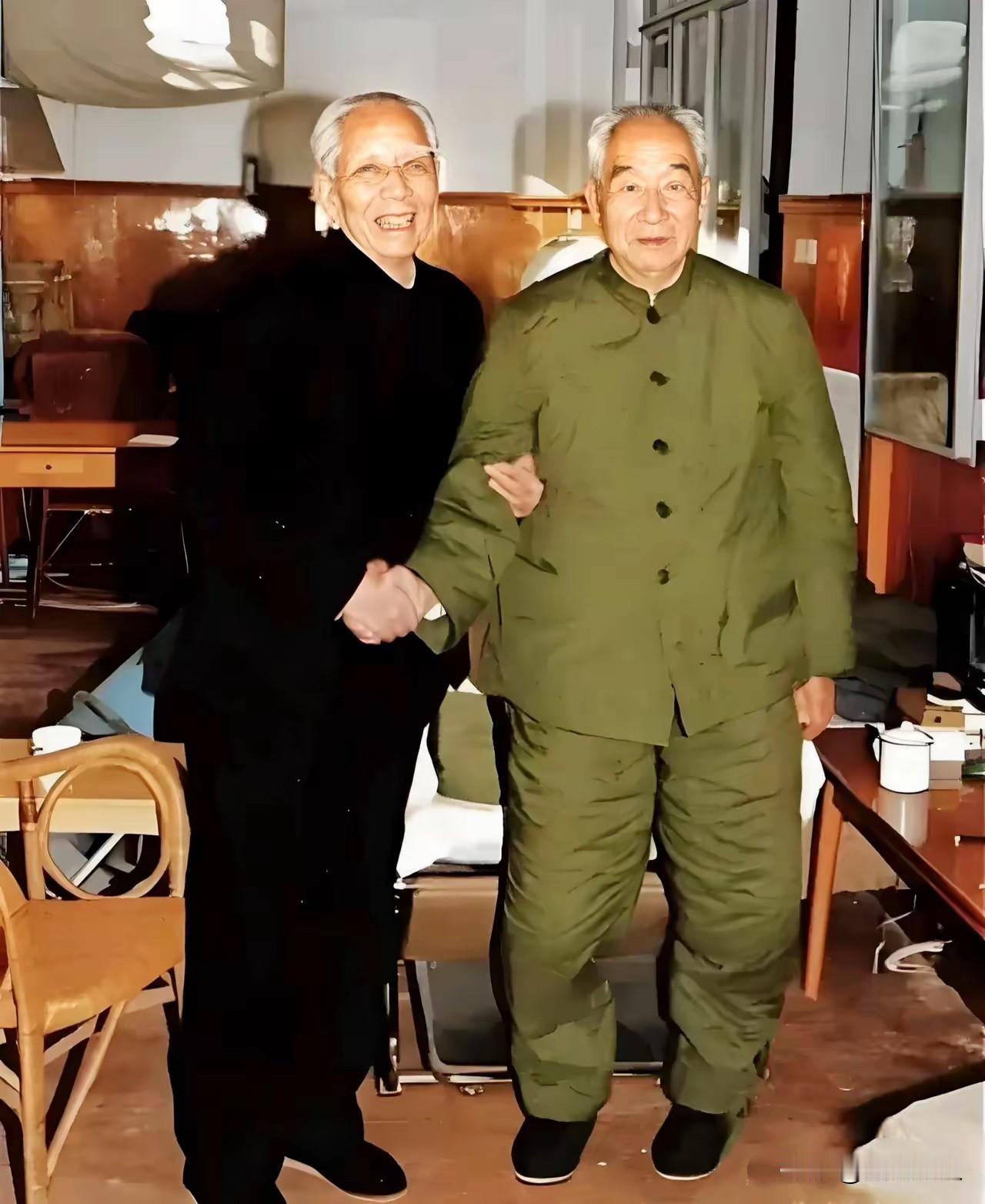 1990年1月5日，已经79岁的王震将军来到一位老战友家中，听说老首长病重，他前