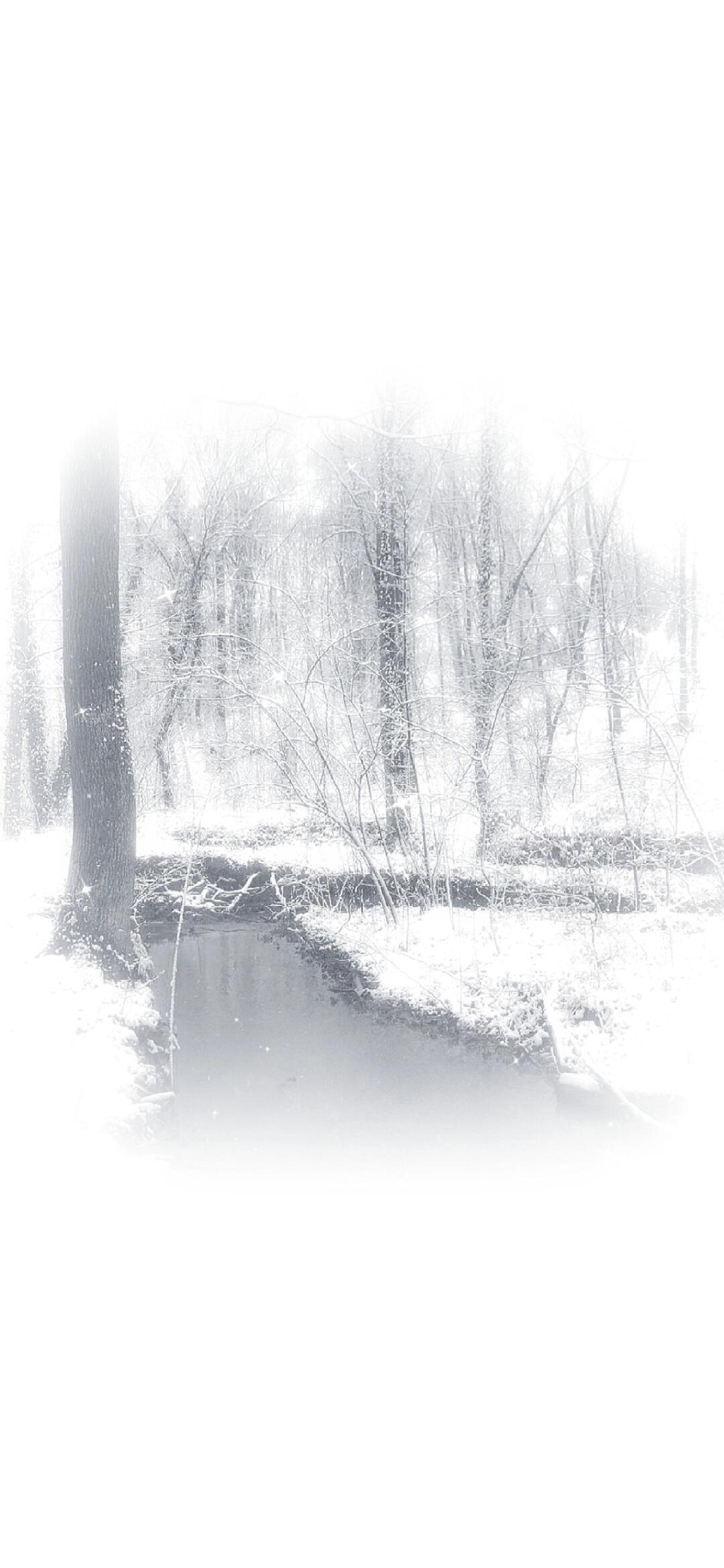 𝘀𝗵𝗮𝗿𝗲𝙒𝙚𝘾𝙝𝙖𝙩冬季壁纸分享ins风壁纸