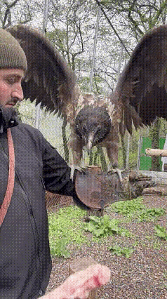 它是怎么吃下去的？骨头都快有他身体长了。