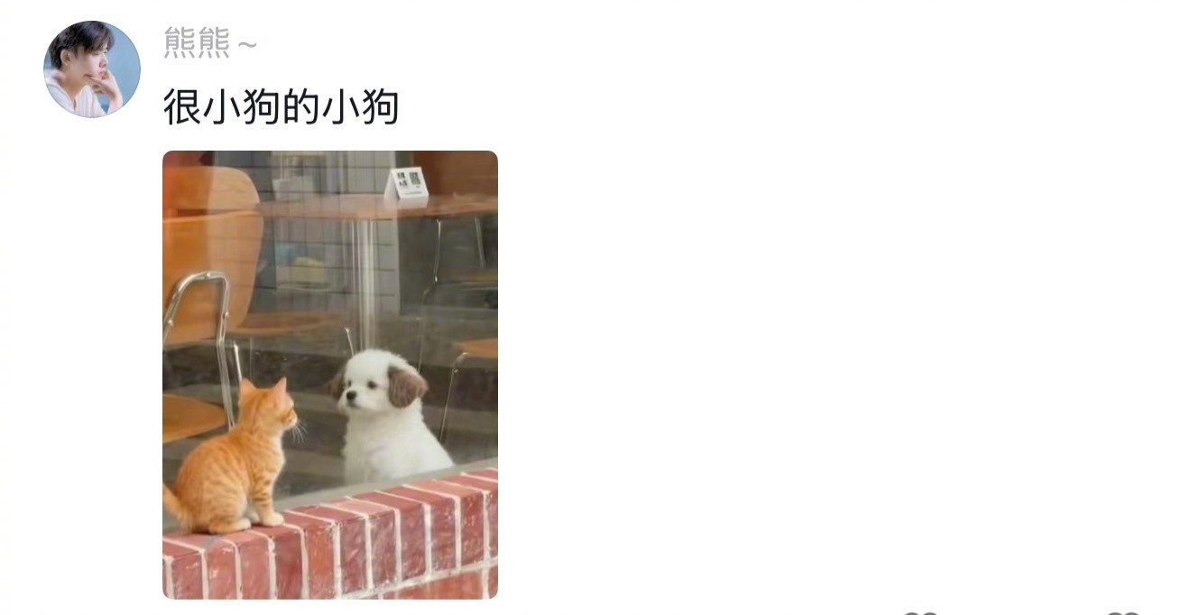 地球online一些很标准的东西生活笑料撞满怀