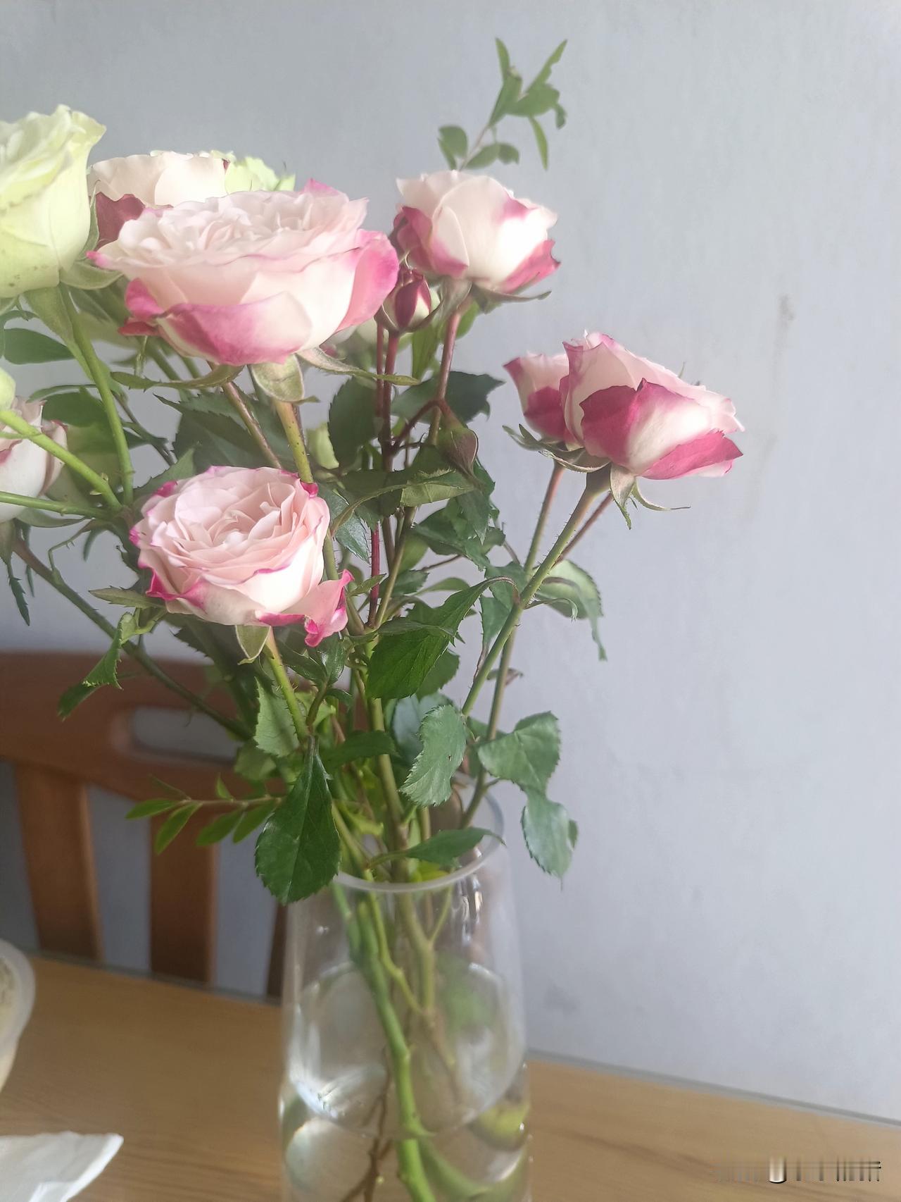 六年前我闺女和外甥同时高考，公婆发话谁考上大学就奖励5千块钱。最后是我闺女过了本