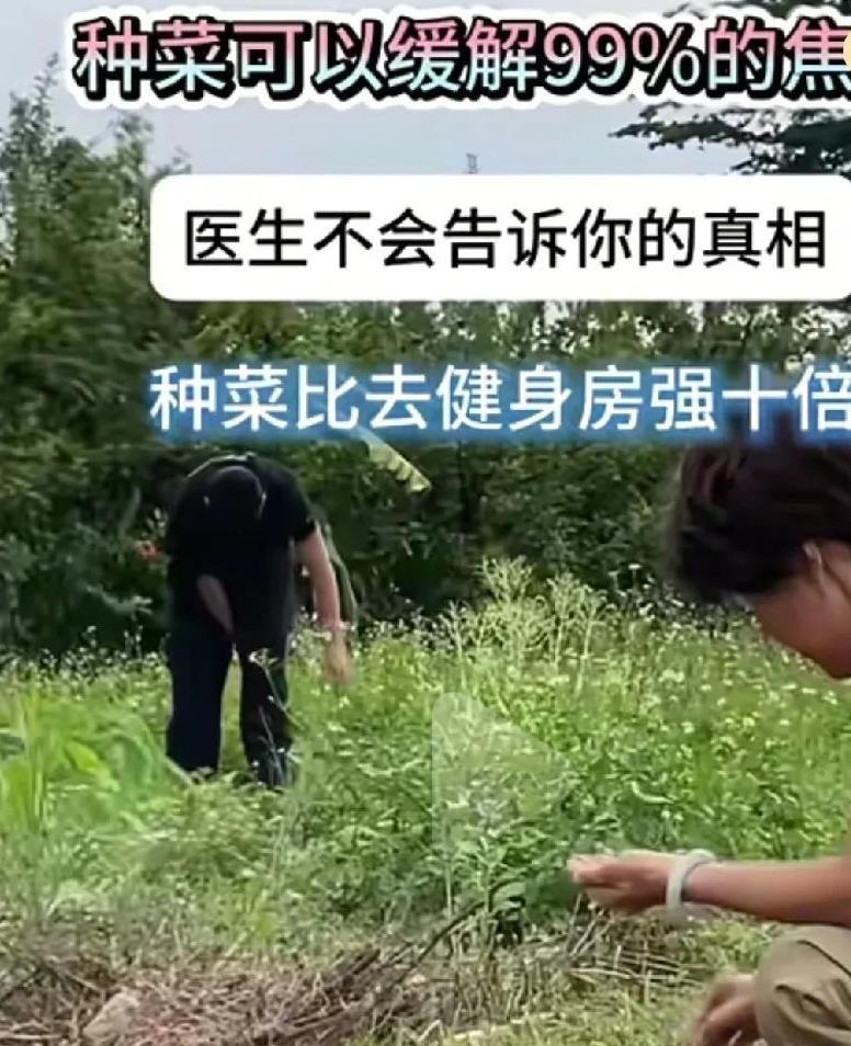 熊磊真的被封号了吗？怎么不相信呢？不知道她被封号的原因是什么？有知道的没？有人
