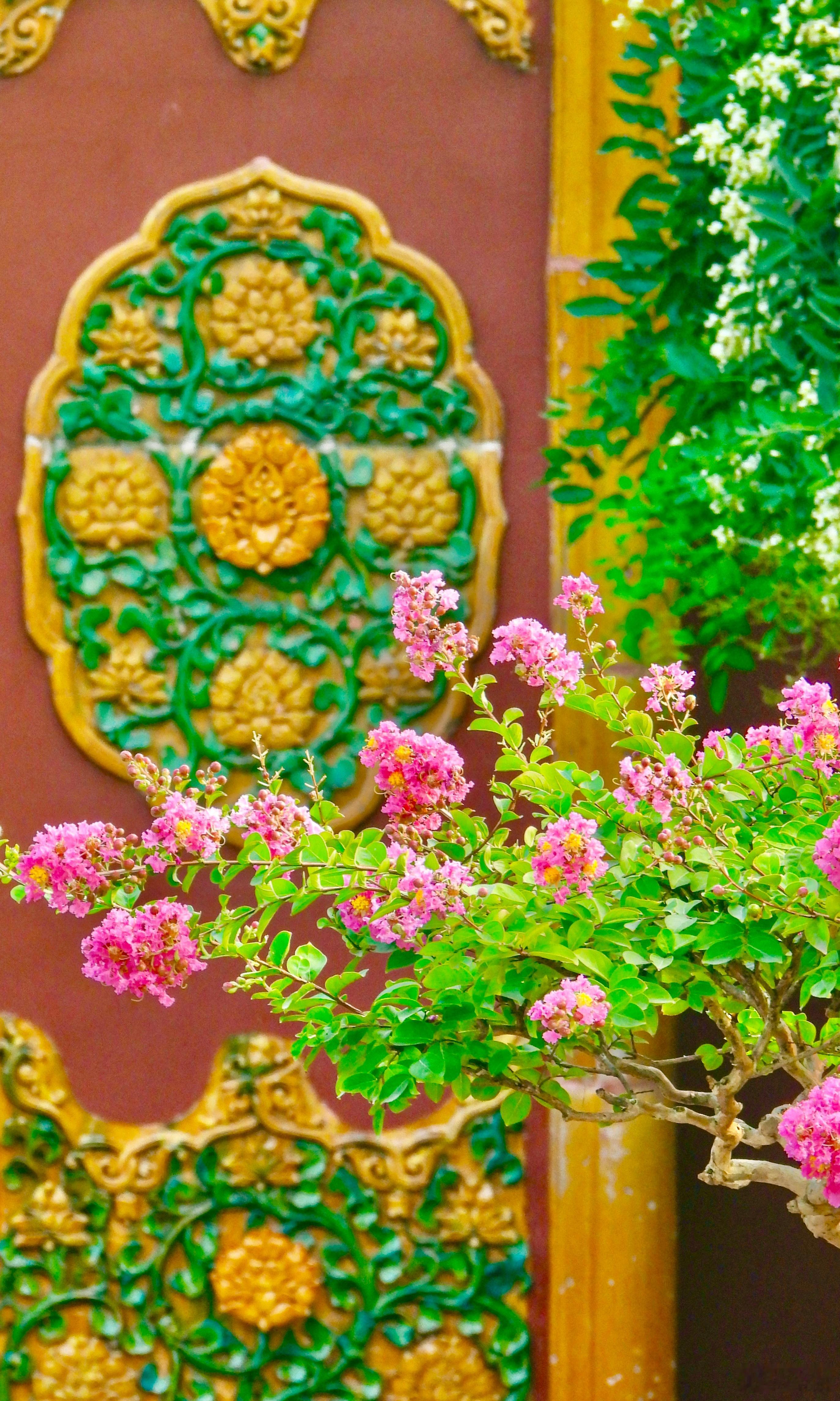 【北京景山公园紫薇花开】赤艳因而唤紫葳，舞风饮露恣芳菲。（弘历）摄影​​​